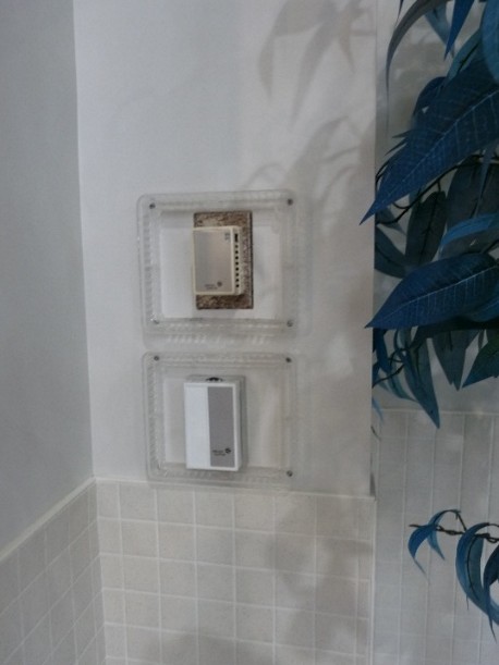 swimming pool repairs