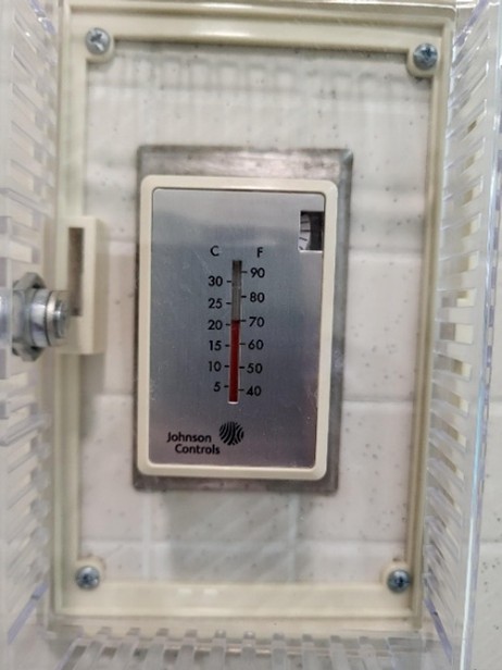 swimming pool repairs