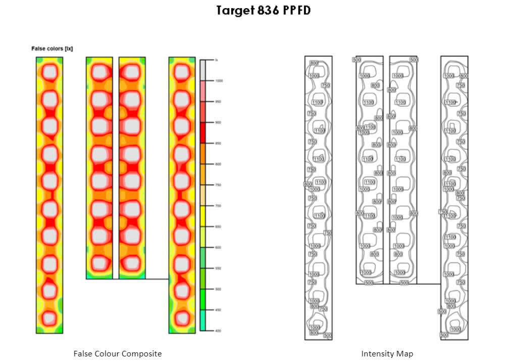 Palm Gardens Cannabis Grow-OP
